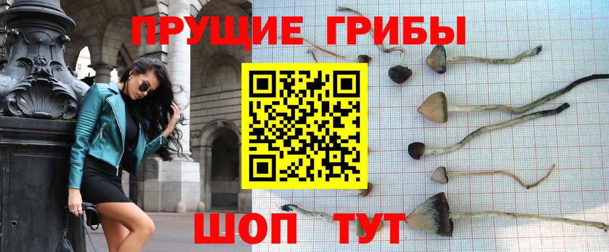 Псилоцибиновые грибы мухоморы  Вход с VPN  Жигулёвск  Галлюциногенные грибы Cubensis 