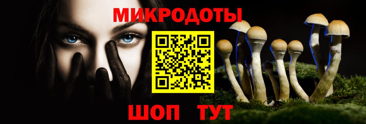 Галлюциногенные грибы прущие грибы Жигулёвск